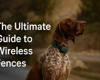 The Ultimate Guide to Wireless Dog Fences