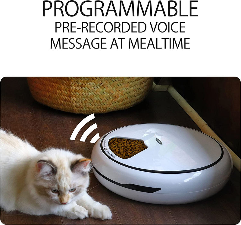 Lentek Programmable Five Meal Pet Dish With Voice Message