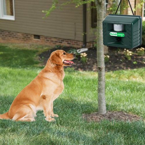 Large dog with Ultrasonic Bark Control Pro + Animal Repeller with Remote