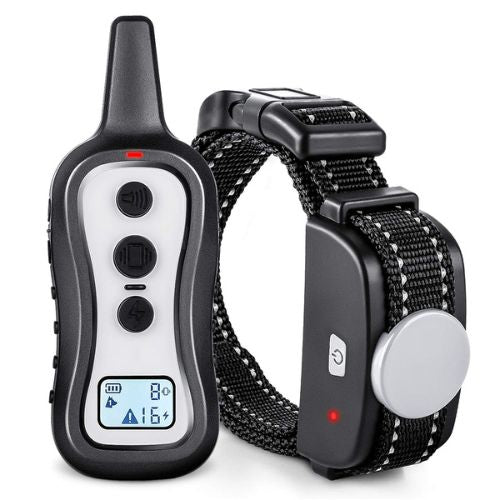 HW101 Collar and Remote Control for 1 dog
