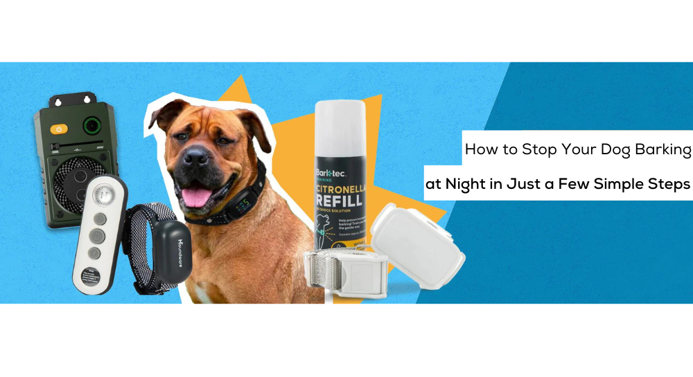 How to Stop Your Dog Barking at Night - eDog Australia