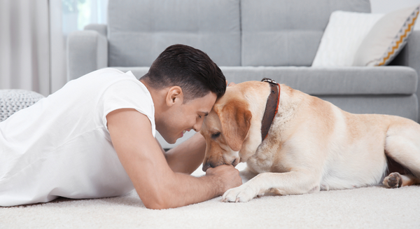 Dog Training Tips with Ultrasonic Devices: Building a Positive Relationship with your Dog