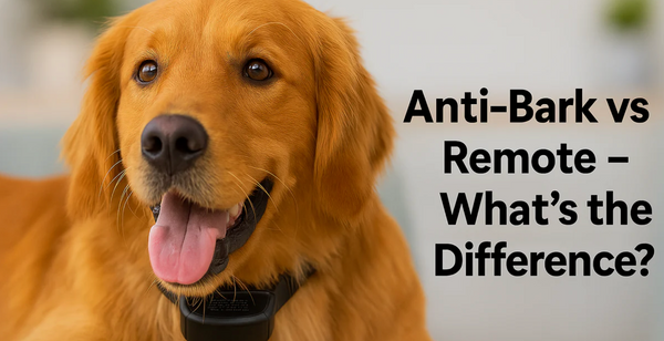Anti-Bark vs Remote Dog Training Collars – What’s the Difference?