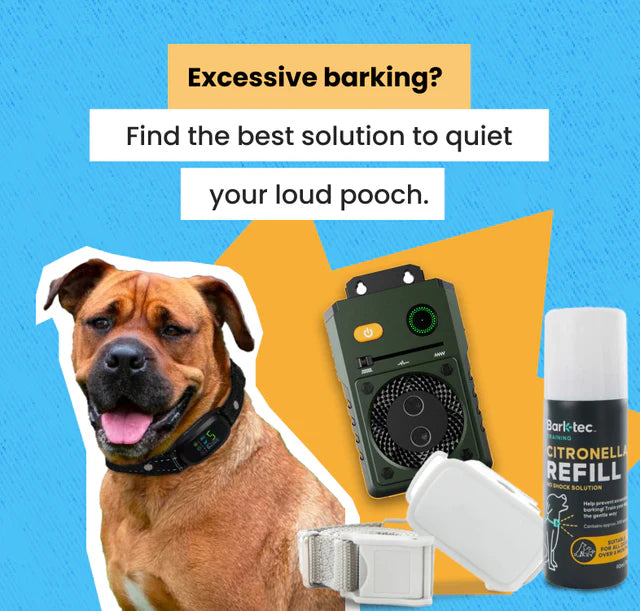 e Collars | Dog Training & Tools | eDog AU