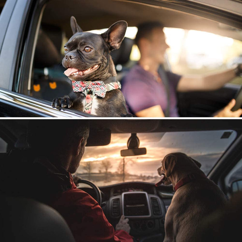 Car Front Seat Cover for Dogs with Dog Safety Belt