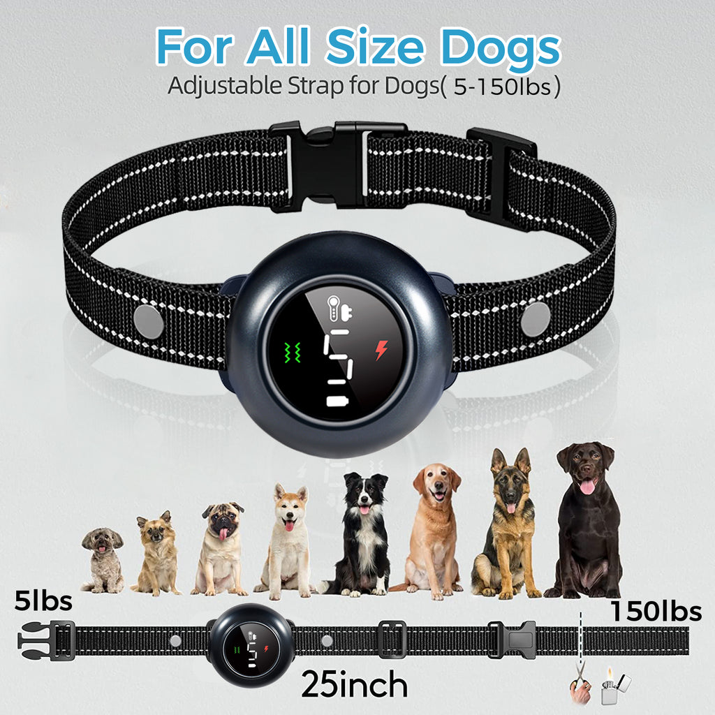 Houndware 2in1 Pro AntiBark & Remote Training Collar eDog AU