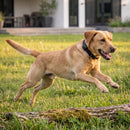 FRED Pro - Pet Tracker