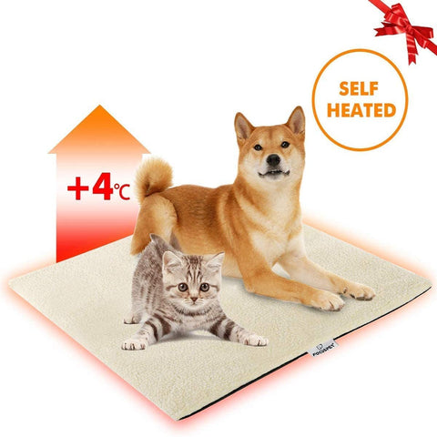 Heated Dog Mat in a cozy indoor setting - Provides warmth and comfort for dogs during cold weather.