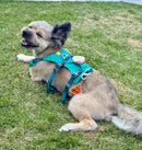 Smart Pet Tracker - GPS Tracking & Pet Safety Monitoring