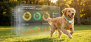 Smart Pet Tracker - GPS Tracking & Pet Safety Monitoring