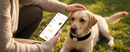Smart Pet Tracker - GPS Tracking & Pet Safety Monitoring