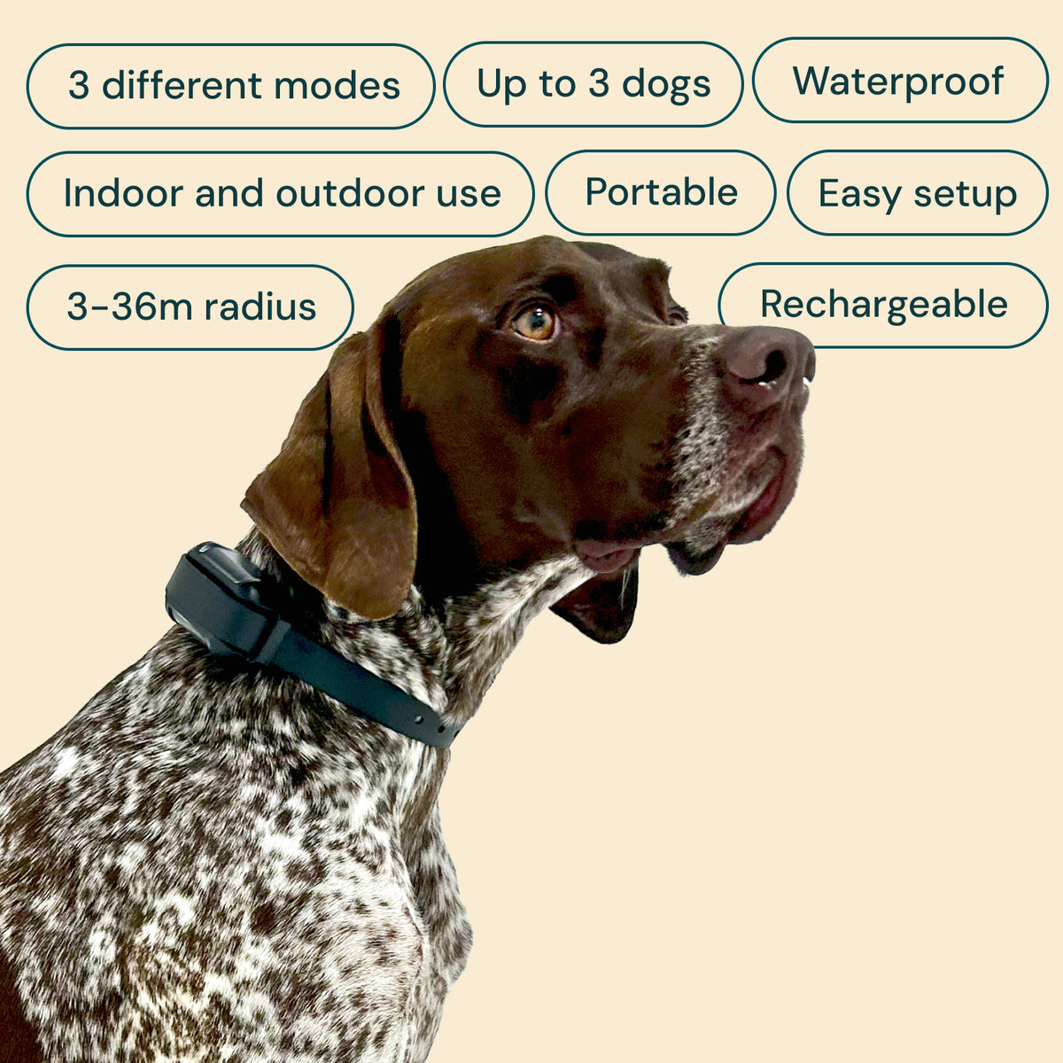 【(。・ω・。)】. Self-organization of photoionized plasmas via kinetic