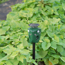 Weatherproof green 360° ultrasonic repeller for animal deterrence. Ideal for garden and yards