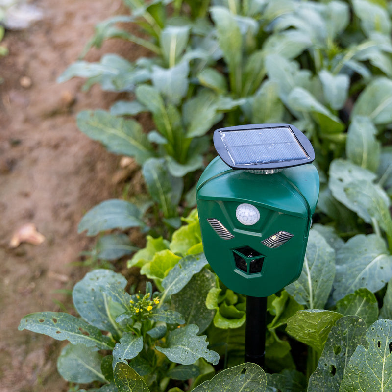 Green solar ultrasonic animal repeller, 360° protection for outdoor use