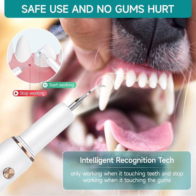 A white dental tool cleaning a dog's tooth, close-up of open mouth and visible canine teeth.