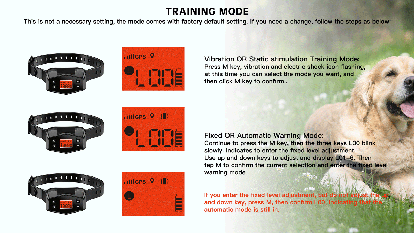 Wireless Dog Fence eDog Australia