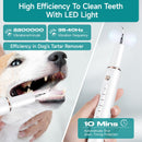 A white handheld dental plaque remover being used to clean a dog's teeth, with LED light visible.