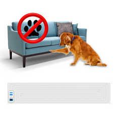 eDog Pet Training Mat with a golden retriever dog and sofa