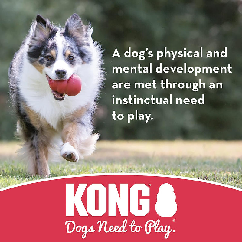 KONG Puppy Ball Medium - Large