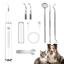 White electric pet dental plaque remover kit with 5 metal tools, USB cable, clear cover, cat and dog nearby.