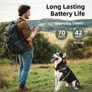 Man with backpack holding phone facing seated black-and-white husky wearing a black collar, with battery labels.