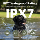 Black dog swimming in water wearing a black training collar with rectangular module, splashing.