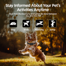 One brown-and-white dog leaping in an autumn park, wearing a black collar with a round device and icons above.