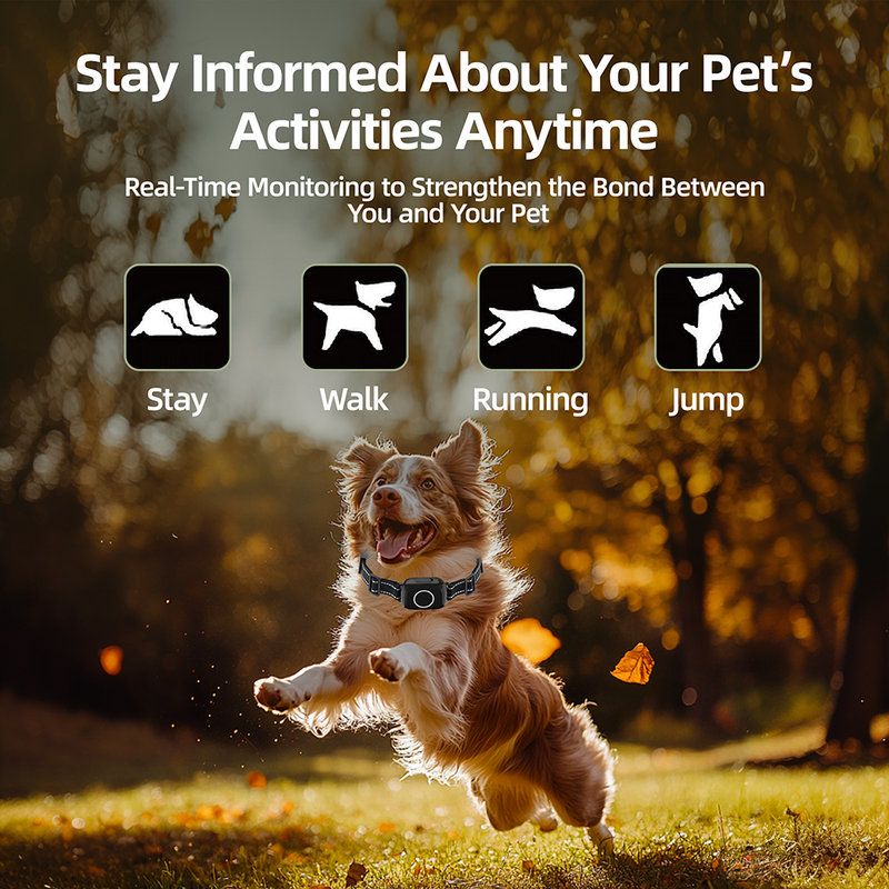 Barktec 2-in-1 Anti-Bark and Remote Training Collar