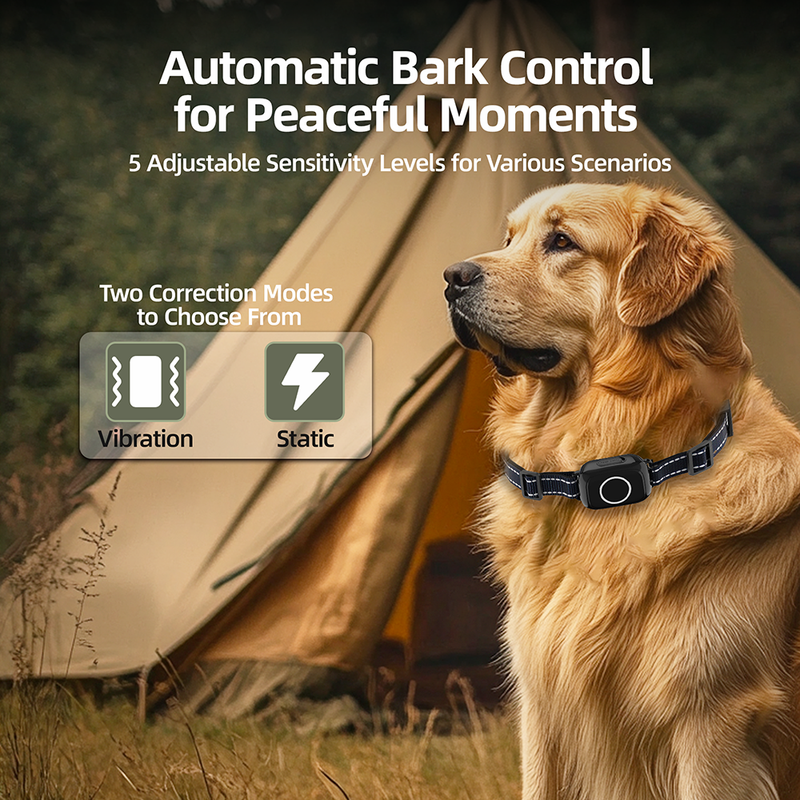 Barktec 2-in-1 Anti-Bark and Remote Training Collar