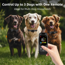 Hand holding black remote with digital screen in front of three dogs wearing black training collars in grass.