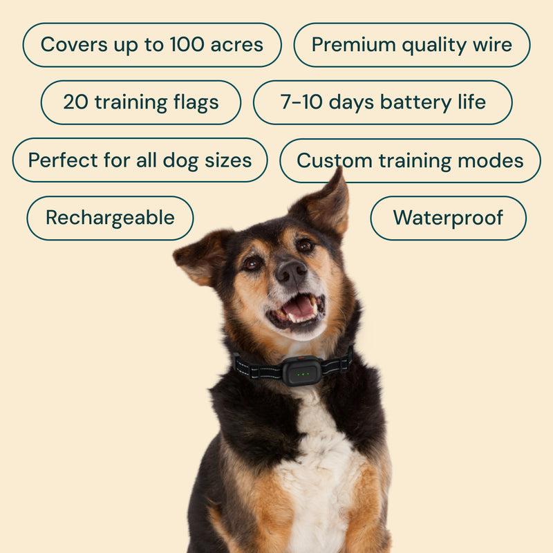 Barktec Advanced Hidden Electric Dog Fence eDog Australia