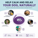 Purple Dog Anxiety Calming Collar - 2 pack