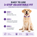 Purple Dog Anxiety Calming Collar - 2 pack