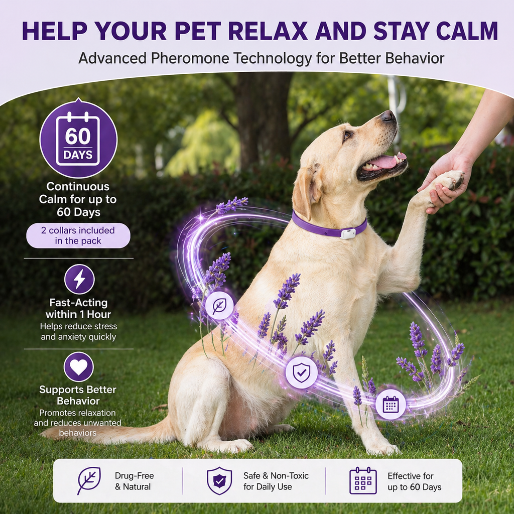 Calming Collar for Dogs | Dog Anxiety Relief | eDog AU