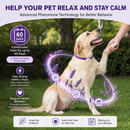 Purple Dog Anxiety Calming Collar - 2 pack