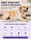 Purple Dog Anxiety Calming Collar - 2 pack