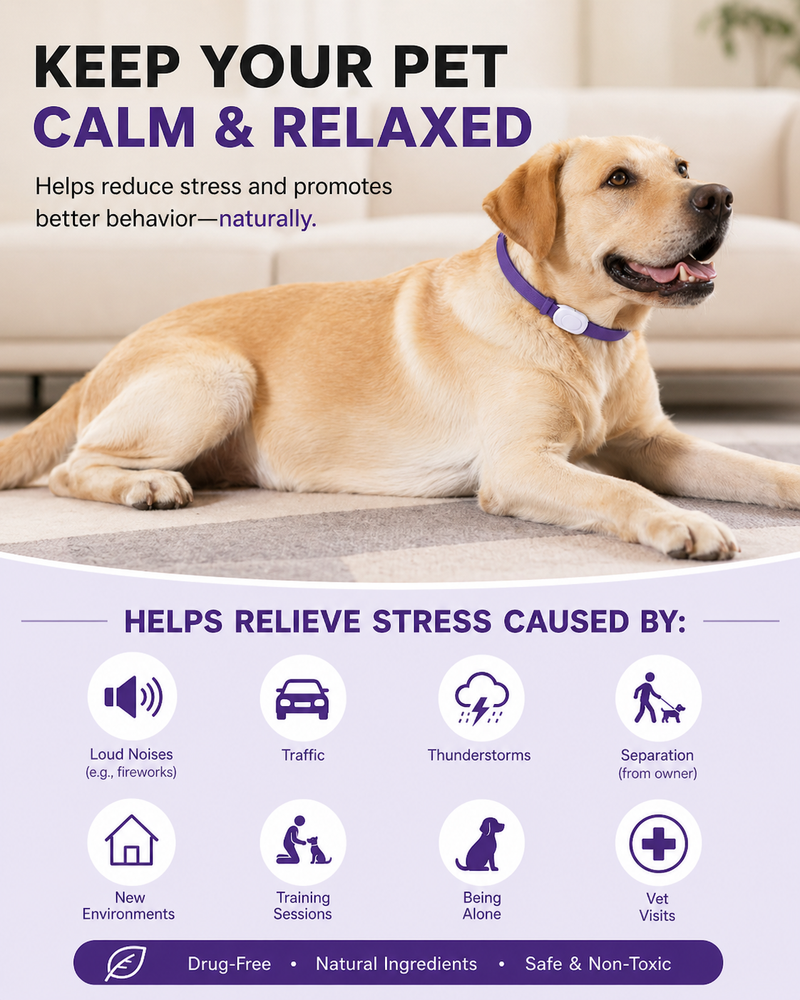 Calming Collar for Dogs | Dog Anxiety Relief | eDog AU