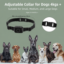 Barktec 2-in-1 Anti-Bark and Remote Training Collar