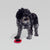 Ultra-Durable Steering Wheel Dog Toy - alternate view