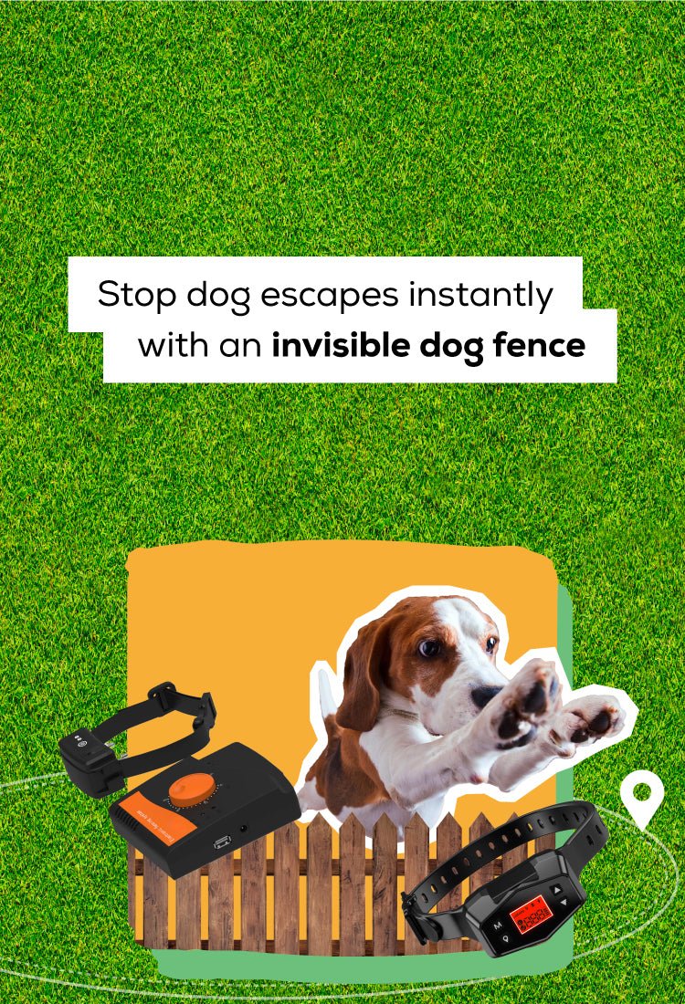 Stop dog escapes instantly with an invisible dog fence