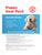 Snuggle Puppy Dog Toy Replacement Heat Pads- 5 Pack