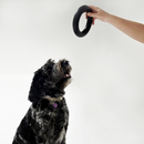 Pet owner holding the Strong Rubber Ring, demonstrating its easy-to-grip design and large size for interactive play