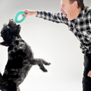 Rubber Dental Dog Ring Toy 