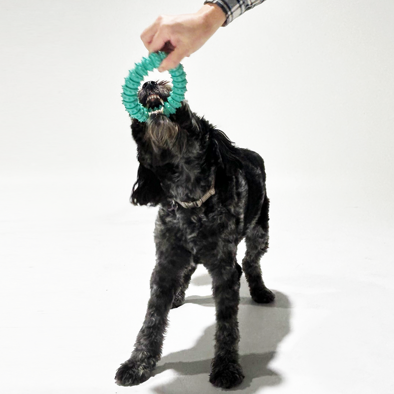 K9 Rubber Dental Dog Ring Toy - Large (15CM)