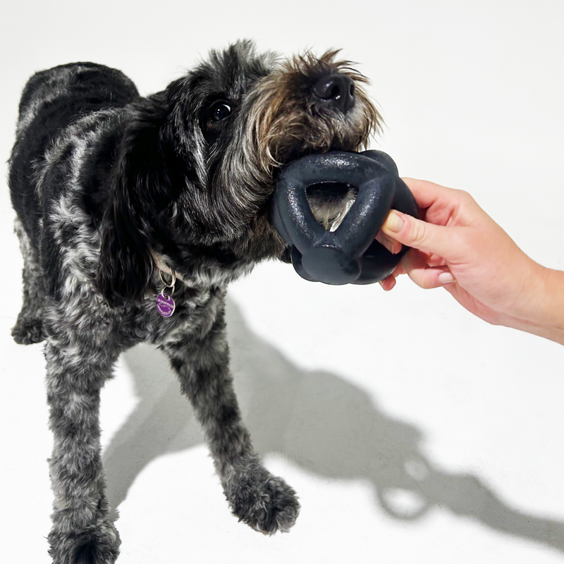 K9 Ultra-Durable Dog Ring Ball