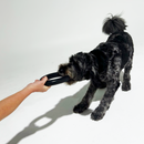 Pet owner holding the Strong Rubber Ring, demonstrating its easy-to-grip design and large size for interactive play.