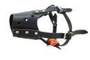 Anti-Barking Leather Muzzle worn by a dog - Durable leather muzzle designed to prevent barking and biting.