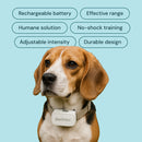 Anti-Bark & Training Bundle for Sensitive Dogs