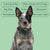 Houndware 2-in-1 Pro Anti-Bark & Remote Training Collar - Upgrade - alternate view