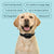 Houndware Rechargeable Anti Bark Collar-Black - alternate view